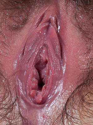 xxx free pussies up close porn gallery